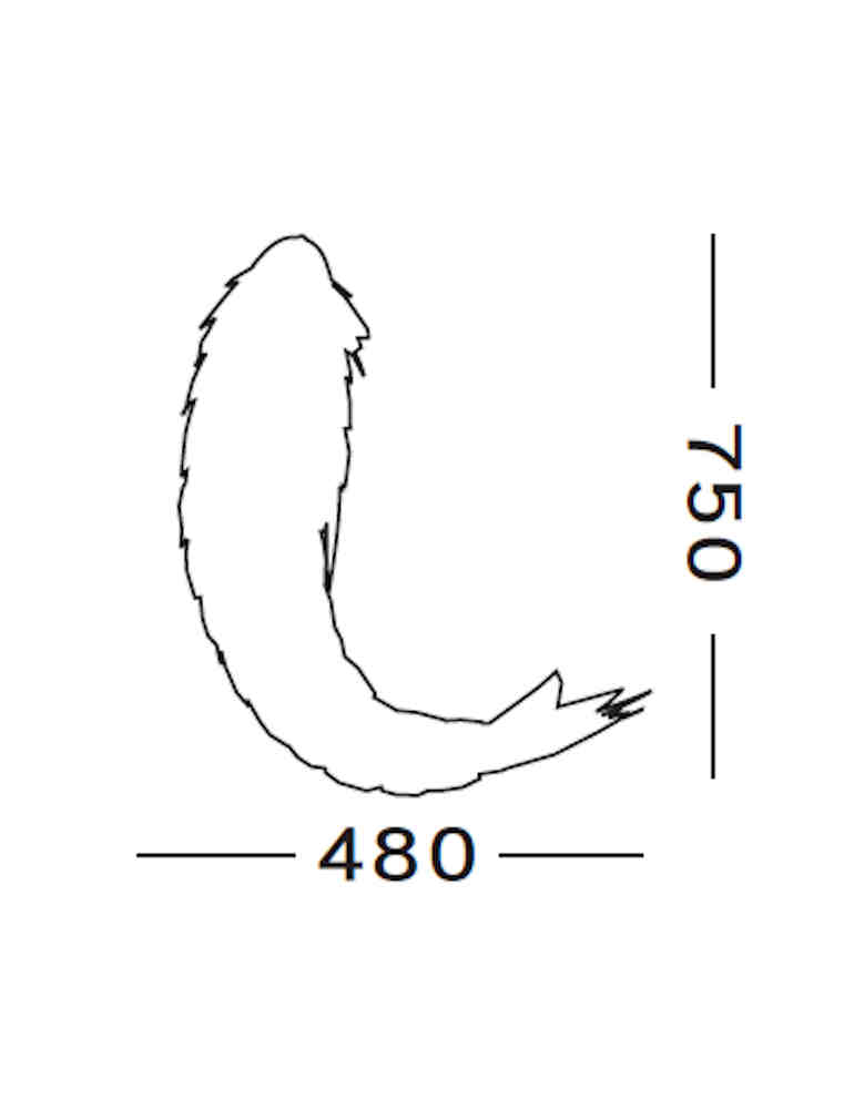 canonical adaptations