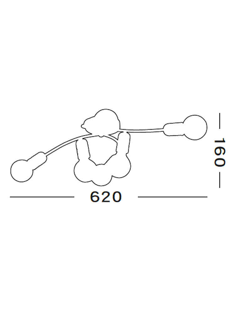 canonical adaptations
