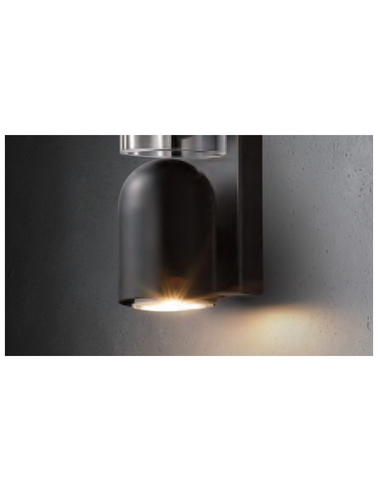 canonical adaptations