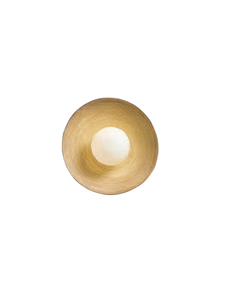 canonical adaptations