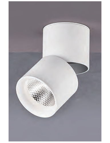 LED-10瓦吸頂投射燈