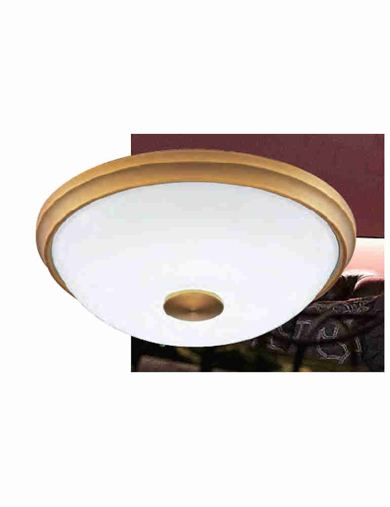 智慧雙色光古典吸頂燈