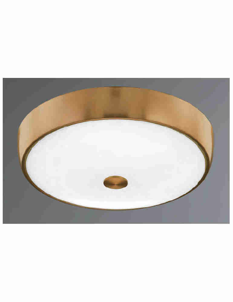 智慧雙色光古典吸頂燈