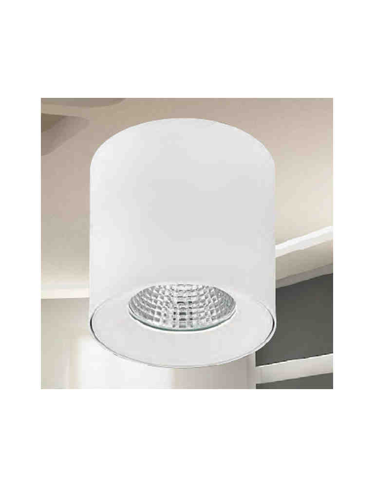 LED-30瓦白色吸頂筒燈