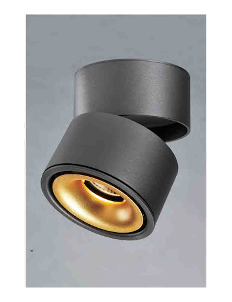 LED-黑色燈具12瓦吸頂燈