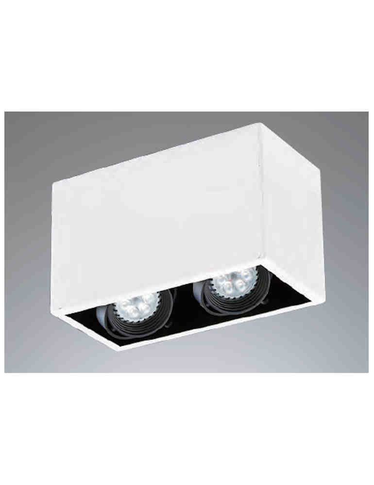 LED 二燈長型吸頂燈