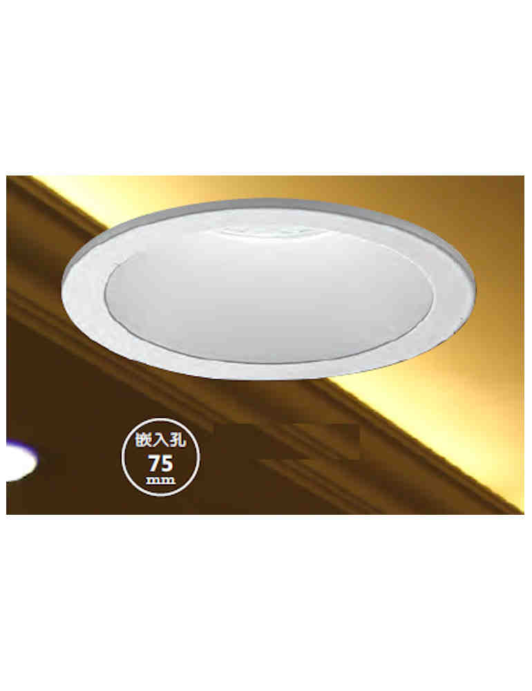 Ø10公分10瓦崁燈